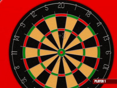 DARTS PRO MULTIPLAYER DARTS PRO MULTIPLAYER