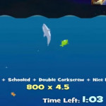 Dolphin Olympics