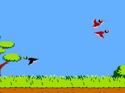 Duck Hunt Duck Hunt