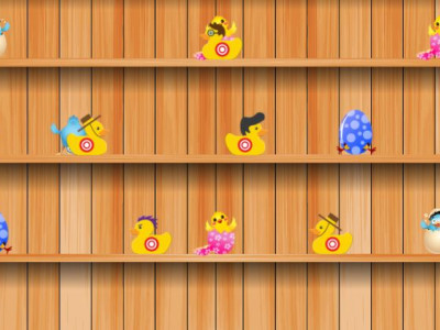 DUCK SHOOTER DUCK SHOOTER