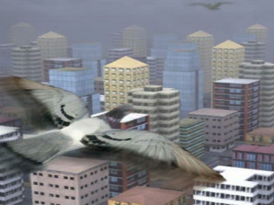 Fly Like A Bird 3