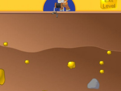 GOLD MINER GOLD MINER