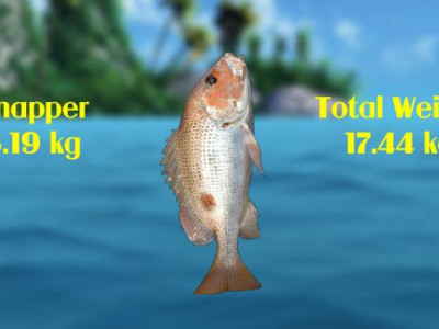 Sea Fishing Tropical Sea Fishing Tropical