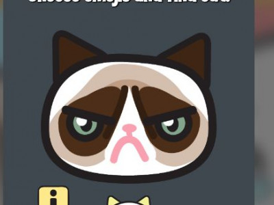 Which Meme Cat Are You? Which Meme Cat Are You?